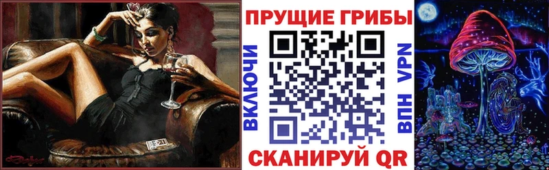 kraken сайт  Салават  мориарти клад  Галлюциногенные грибы Cubensis 